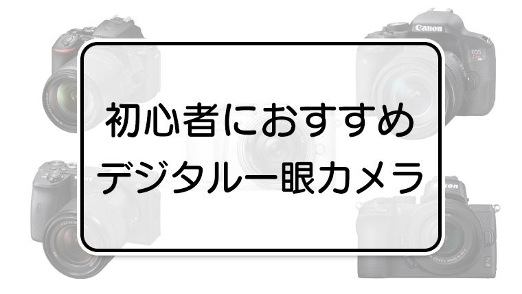 初心者におすすめデジタル一眼カメラ 入門機から一歩背伸びしたい人向けのものまで エイペックスレンタルズ スタッフブログ